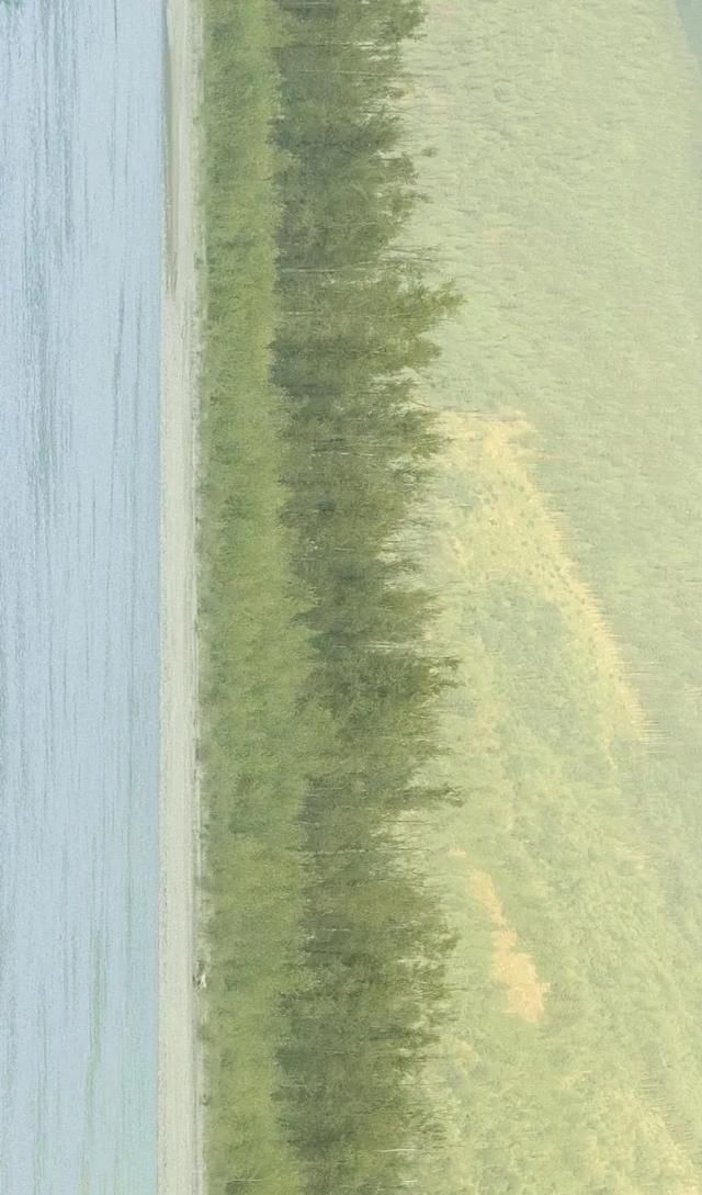  快速|最新刷步教程 | 蚂蚁森林如何快速刷步数，获得296g能量