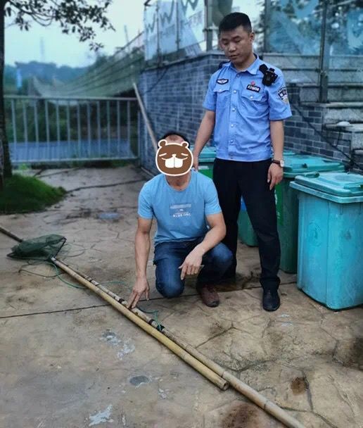 男子|浏阳五名男子非法捕捞将自己“捕”入法网
