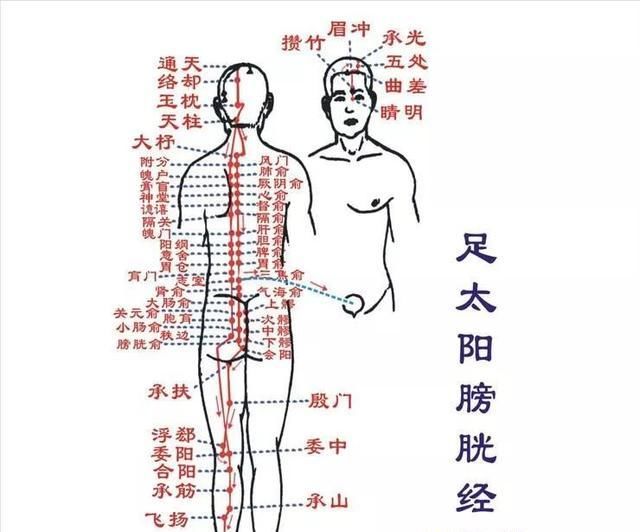 体内阳气|#入伏#入伏了，请珍惜这大好阳光