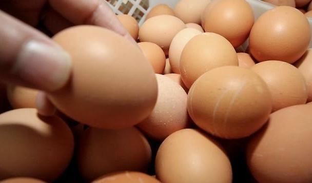  鸡蛋|为了能让鸡蛋保存时间更长，最好别放冰箱，用这方法半年都没事