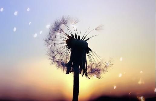 微笑|有些人，你再用心争取也会无缘，请微笑离开