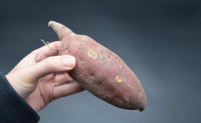  会越放越甜|保存红薯有妙招，一个简单的方法，放一年都不会坏，还越放越甜