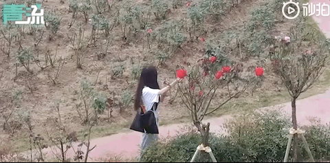 纷纷|硬核!小姐姐用无人机喊话“相信我”,网友们纷纷点赞