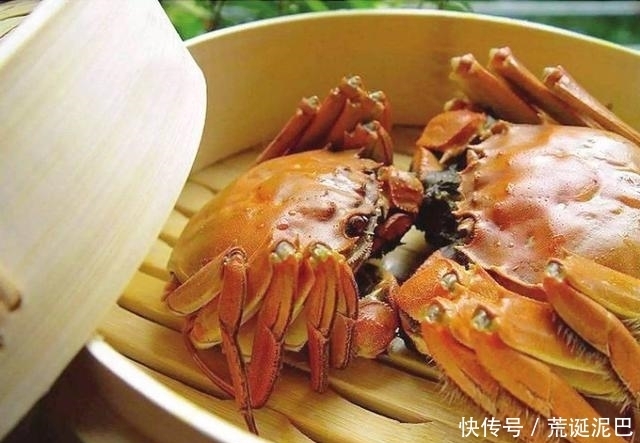 大闸蟹|金秋送爽,选螃蟹有技巧,看准这几点,个顶个的肥美多汁
