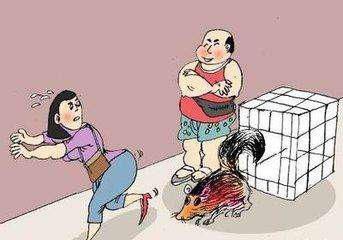  大学生|大学生非法售卖鹦鹉，一审被判六年：人工驯养也属于濒危野生动物