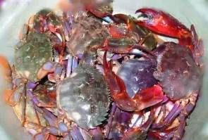 今日|今日开海!这84种海鲜,你都认识吗?你真的会吃海鲜吗?