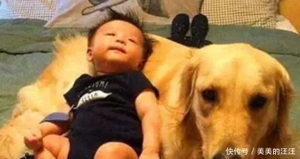 家里|母亲出去买菜，将孩子与狗子留在家中，回来发现狗子满嘴“血”