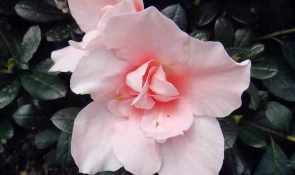 祥兆|身上出现这三个祥兆，说明你要开始走上坡路，赚大钱的机会来了