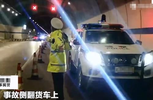  交通事故|货车高速意外翻车，38头“二师兄”逃脱，交警奋战全部追回