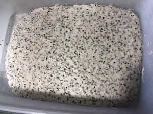 家庭|家庭烤箱法棍之一：多谷物法棍（国产高低粉-波兰种-隔夜冷藏法）