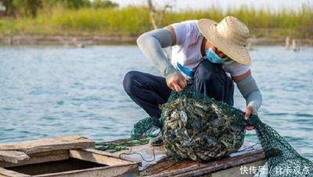 沙漠|中国人到底有多可怕?沙漠里养螃蟹,一年收入超过100万