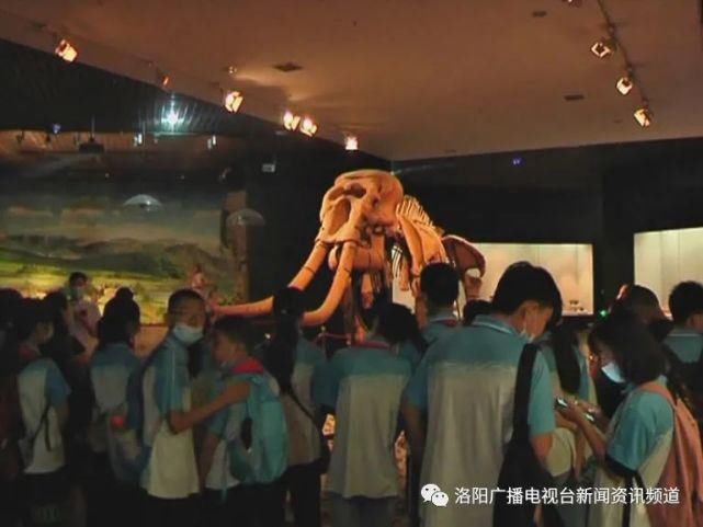 高级讲解员|创文明城市 做文明市民丨博物馆里树新风 文明城市结硕果