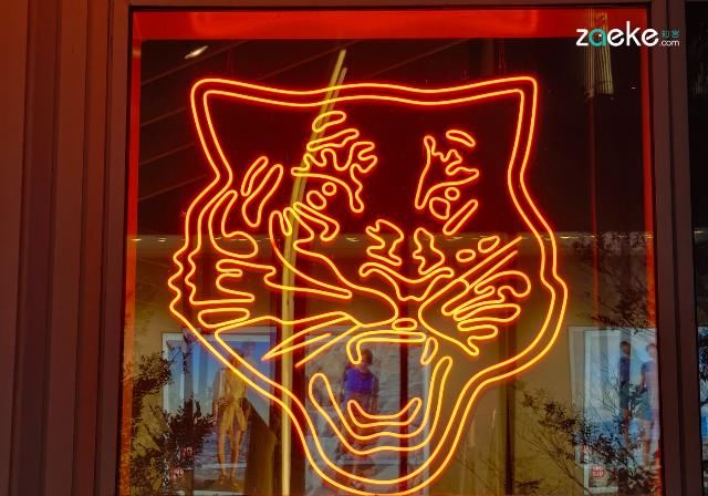  X50|vivo X50 Pro+ 拍照专项评测：强悍如此，堪称炫技