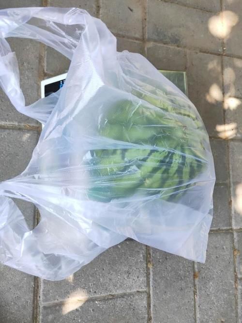  没想|路边摊买麒麟瓜，以为便宜，却没想被骗惨了，小伙：同情心惹祸！