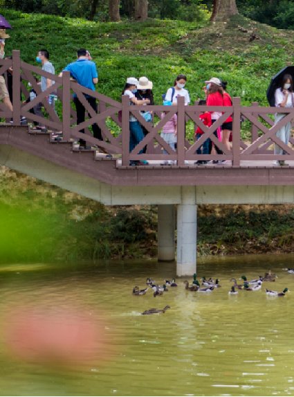  时间|美出新高度！香山湖公园华丽再升级！开放时间就在…