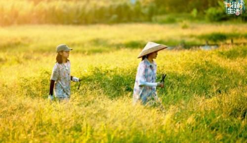  许光汉|《向往的生活》播了四季，最大的败笔终浮现，问题不在许光汉身上