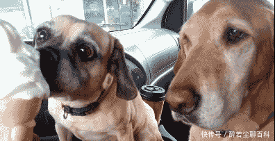  进水|妹子，你俩这样比美是认真的吗？掉进水里可就尴尬了