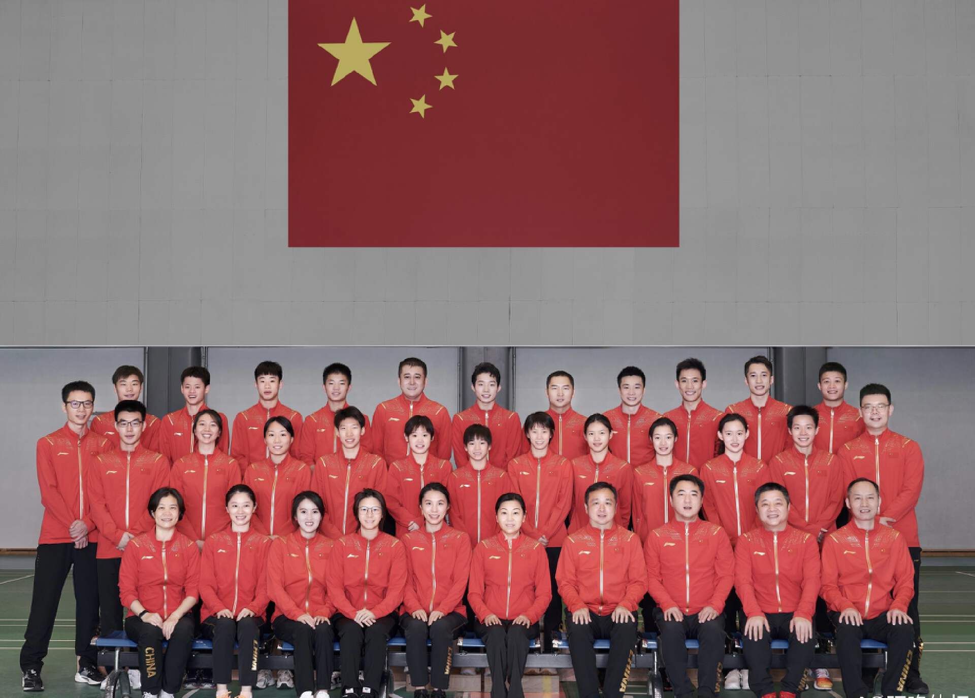 中国跳水队分析(现在中国跳水队的主力都有谁)