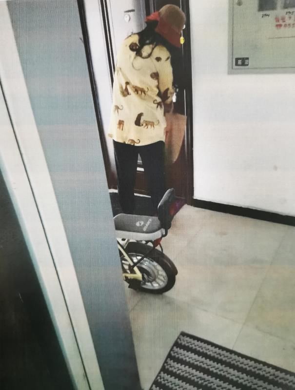 休门刑警中队|嫉妒闺蜜比自己过得好，女子竟潜入闺蜜家中盗窃
