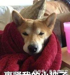 超市|“重庆人的消费观”上热搜!每一条都真实到扎心!