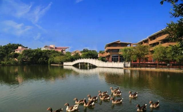  独立学院|@高考生们，纠结志愿怎么填？身处广州改革开放窗口的这所高校，不来pick一下？