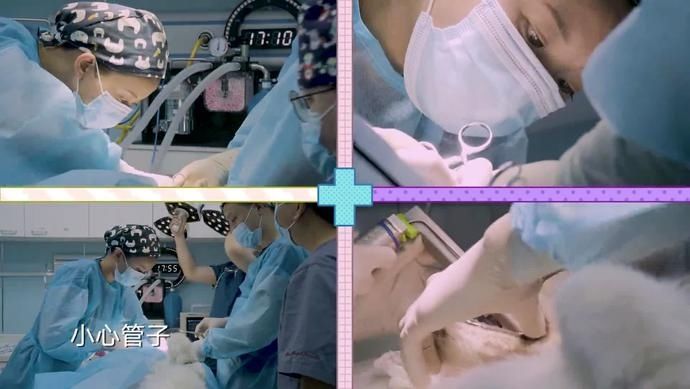  见招拆招|《一席之地》第二季今晚22:00开播！黄奕助力设计师见招拆招