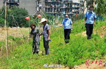 退水|长江中下游干流退水趋势加快 预计武汉关本周六退出警戒水位