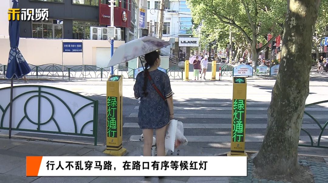 现象|“严”字当头，崇明交通秩序如何？