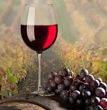 贺兰山东麓|黄河风物最美葡萄酒故事,真正的爱情葡萄,快来听听吧