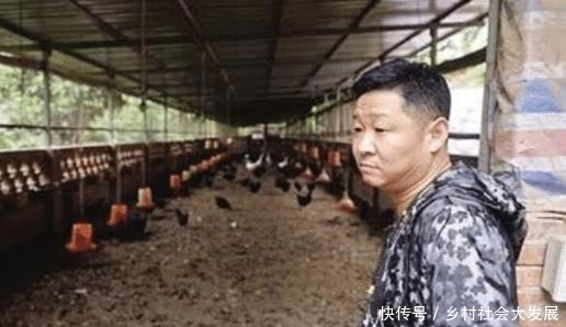 捧场|娱乐圈唯一养鸡的男明星,半个娱乐圈都要去捧场,后来成这样