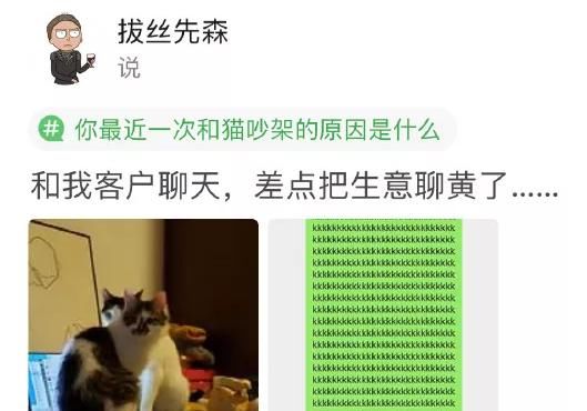 好吃|“老板说这种鸭子有营养,请问怎么做好吃?”鸭:我自己都营养不良