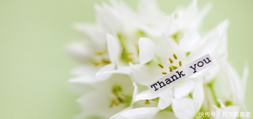 伙计|伙计,你在要求什么,你在争取什么,你在生气什么,你在担心什么?