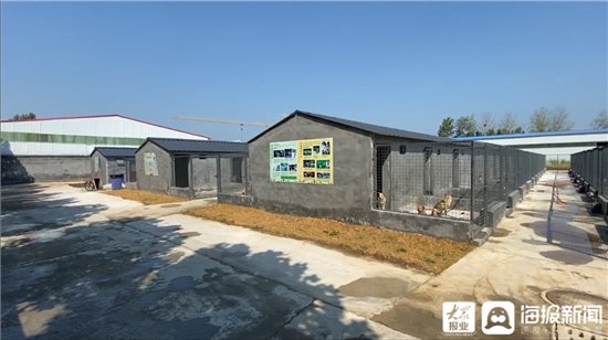 养犬|《小区问题面对面》（二）：文明养犬 从我做起