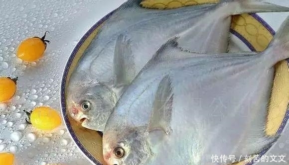  认出|海鲜大全, 你能认出多少