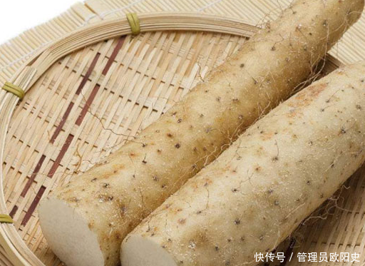 秋冬吃什么滋阴养肾(秋养生冬养肾，经常吃点它，养生补气，整年少生病，为过冬做准备)