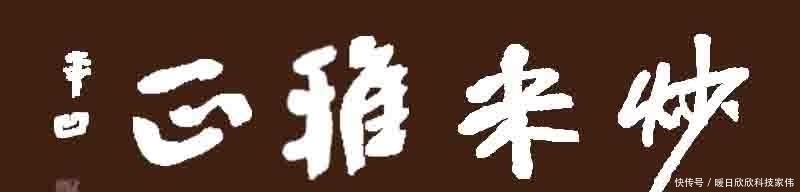 宁王朱宸濠|王阳明的亲身经历告诉你,职场具体做事的人,为什么总是不被重用