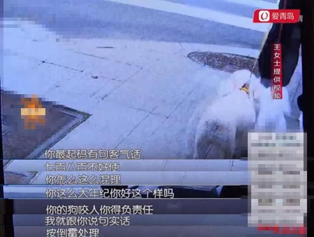  次被咬|女子俩月被狗咬两次，两只狗竟然是同一主人！狗主人：按倒霉处理