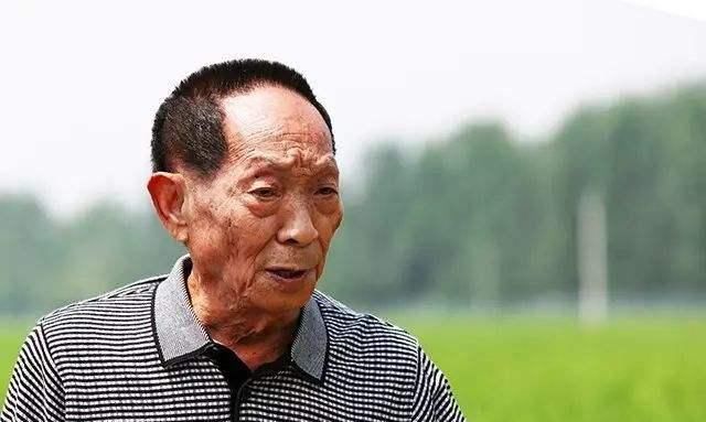 答案|袁隆平是位“千亿富豪”?内部人员道破答案:如果他愿意的话