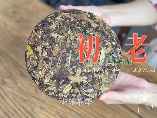 雷区|这7种错误的存茶方式，是好茶成长的雷区，茶友们看完别再踩了