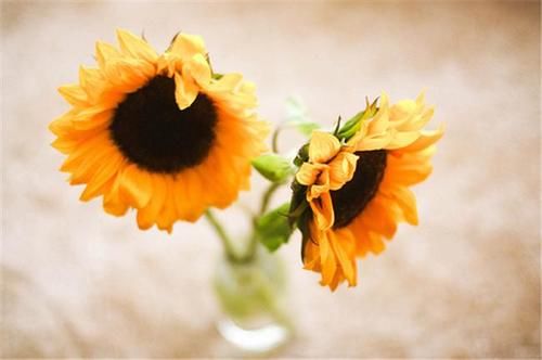 老人|一位老人的真心话：子女这样做，才是对我们最好的孝顺