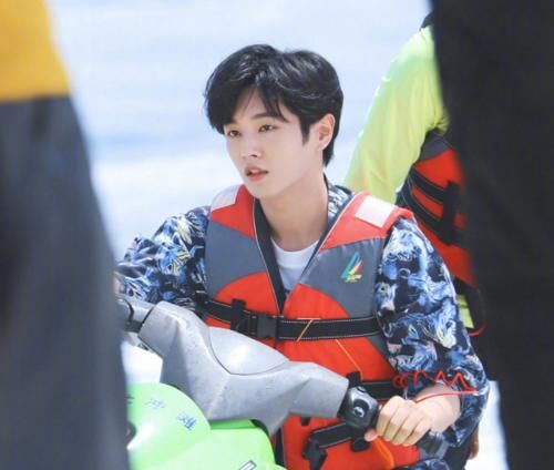  阵容强大|金子涵才是《青2》最大赢家，淘汰还有新资源，新综艺嘉宾阵容强大