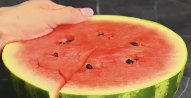 植物|养护植物,吃完的水果别急着扔,留下籽便能种出可爱的植株