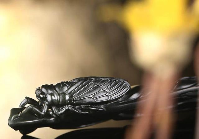 福泽|玉雕蝉的禁忌,你都了解吗?戴对才能腰“蝉”万贯、福泽一生!