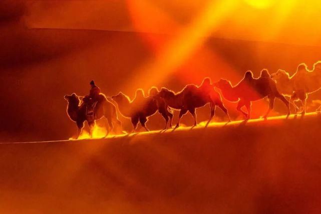 额济纳旗|【阅读】有一种心动,叫额济纳的秋天