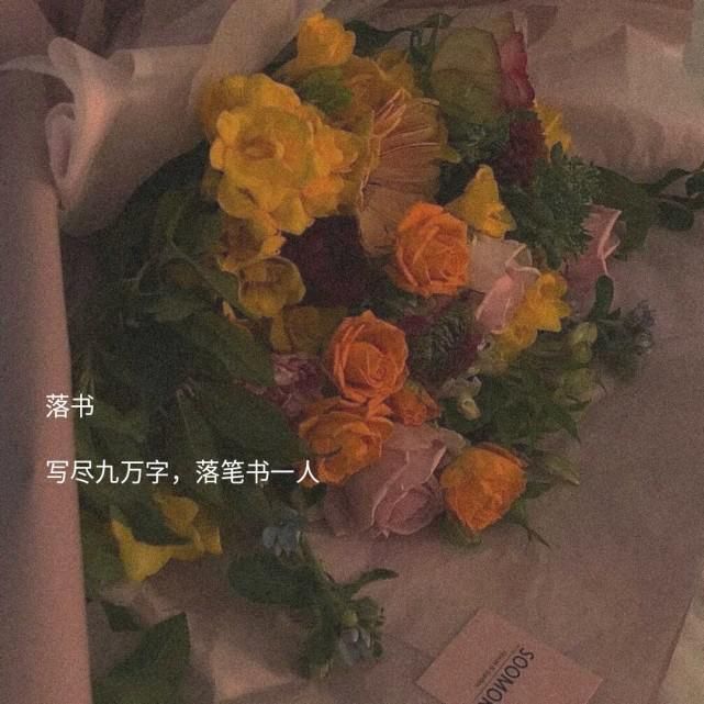  顺风|具有寓意的古风网名·小众文案:说不定随心所欲的生活更顺风顺水呢