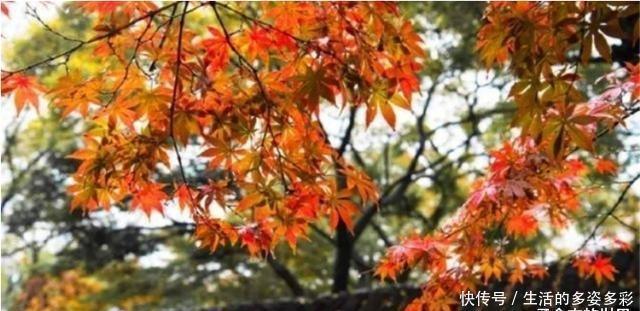  灵隐寺|灵隐寺的一副对联，14个字写尽了一生，点醒了多少世人