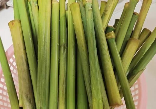 闺蜜|闺蜜寄来这“独特”的甘蔗,5块钱一斤,很多人见都没见过!