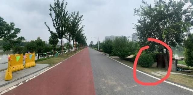  南京|秦淮河水位吃紧 谁把餐厅酒吧建在大坝“肚子”里？