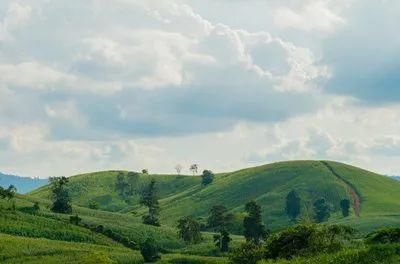 生活|《读书是一辈子的事》它帮我们认识自己,认识世界,打理生活