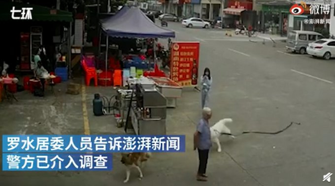  追责|老人被狗绳绊倒后身亡如何追责？医生还原事发经过，家属：不会过于追究责任